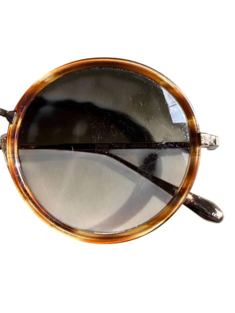 Garrett Leight Playa Sunglasses in Brown Havana